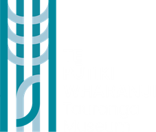 Tauranga Museum logo