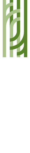 Tauranga Library logo.