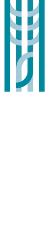 Tauranga Museum logo.